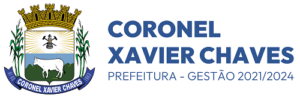 CORONEL XAVIER CHAVES